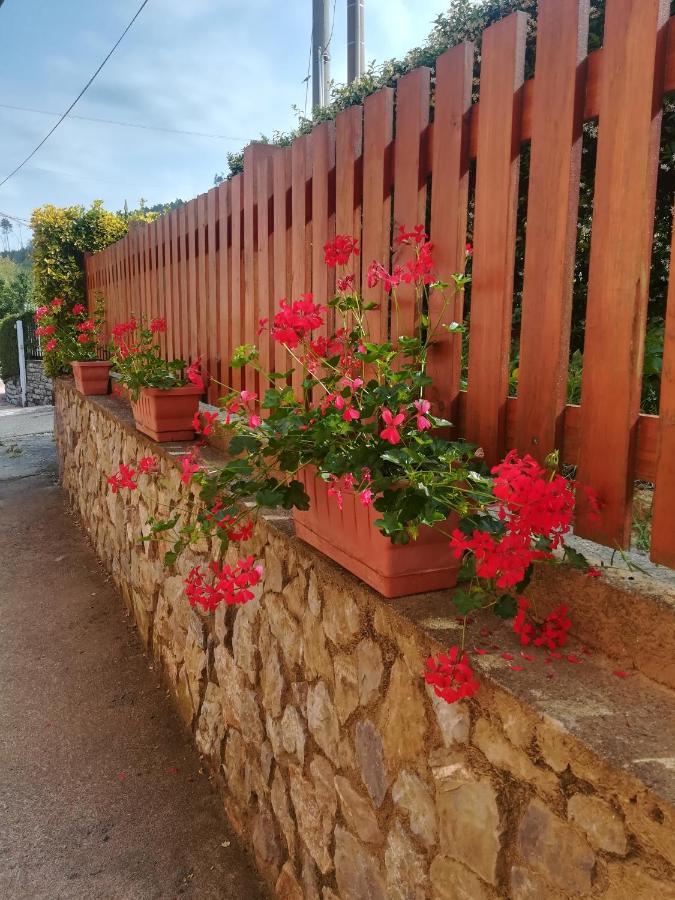 La Fontanella Apartment Polverara Экстерьер фото